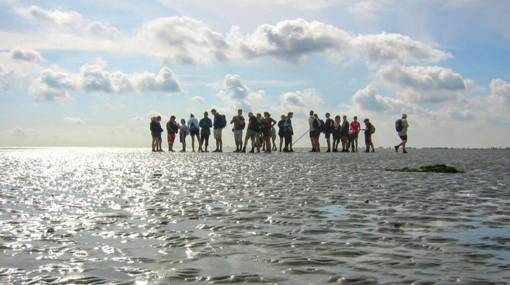 wadlopen