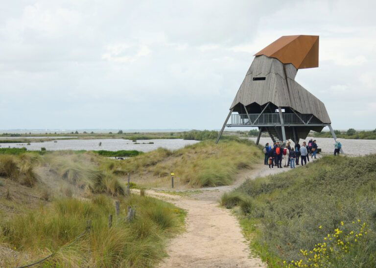 Wandelen op de Marker Wadden