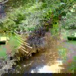 Wandelen langs de Dommel