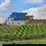 Wandelen langs wijngaarden in Limburg