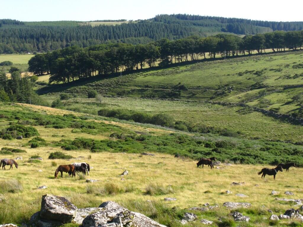 wandelen in Engeland