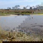 Hooge Hof & Deeneplaat