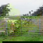 Haastrecht & Steinse Tiendweg