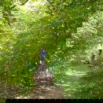 IJsseldelta rond Windesheim