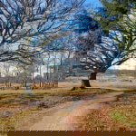 Coldenhove, Loenermark & Zilvense Heide