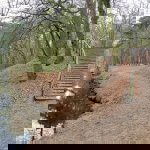 De Heerlijkheid Bergen