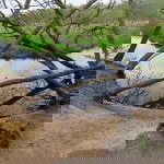 Gasterse Duinen & Oudemolensche Diep