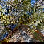 Leersumse Veld & Landgoed Broekhuizen